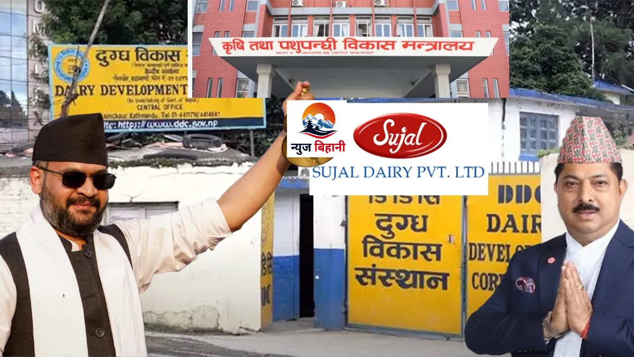 डिडिसीको सम्पत्ति निजी डेरीलाई सुम्पेर दूध बजारमा एकाधिकार ! ६ करोडको सम्झौताभित्र लुकेको रहस्य के ?